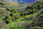 cevennes, printemps 2026,